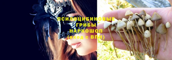 марки nbome Аркадак