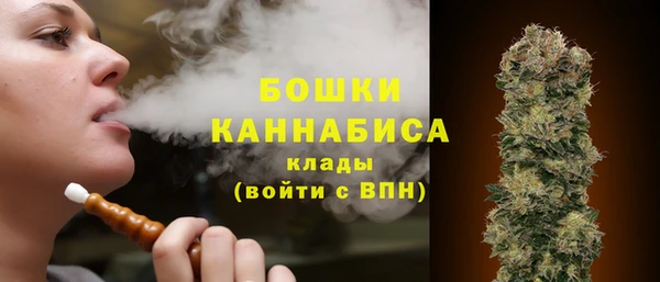 прущие крисы Балахна