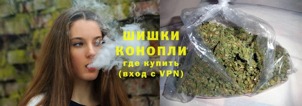 ПСИЛОЦИБИНОВЫЕ ГРИБЫ Балабаново