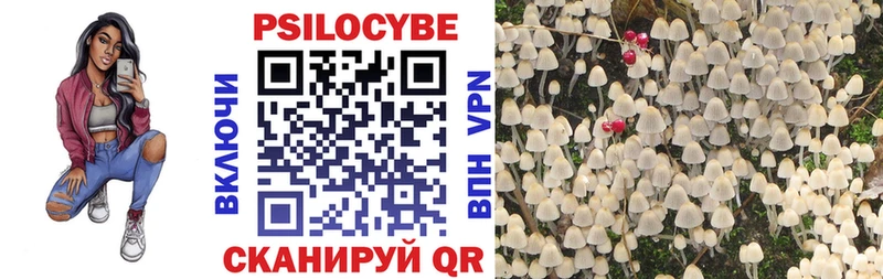 что такое наркотик Урюпинск Псилоцибиновые грибы Psilocybine cubensis